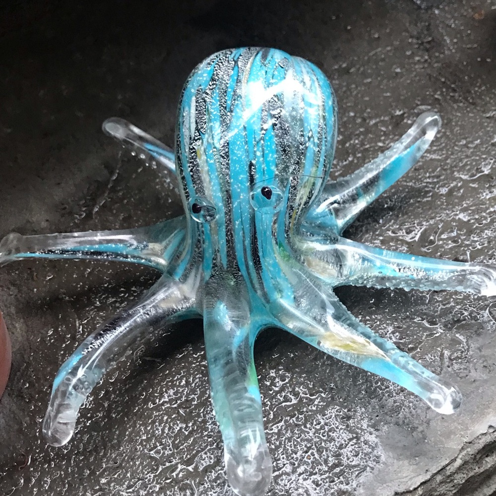 🐙Beautiful Octopus